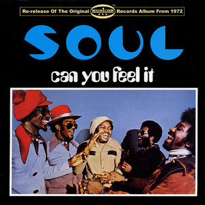 日本丰满巨乳美女和黑人乱搞
