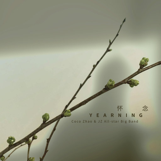 日本丰满巨乳美女和黑人乱搞
